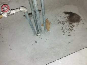 普兰卫生间测漏水价格明细